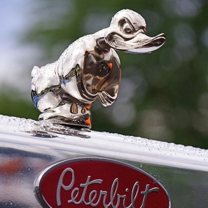 Art Craft Duck - Haube böse Ente Auto Front Ornament