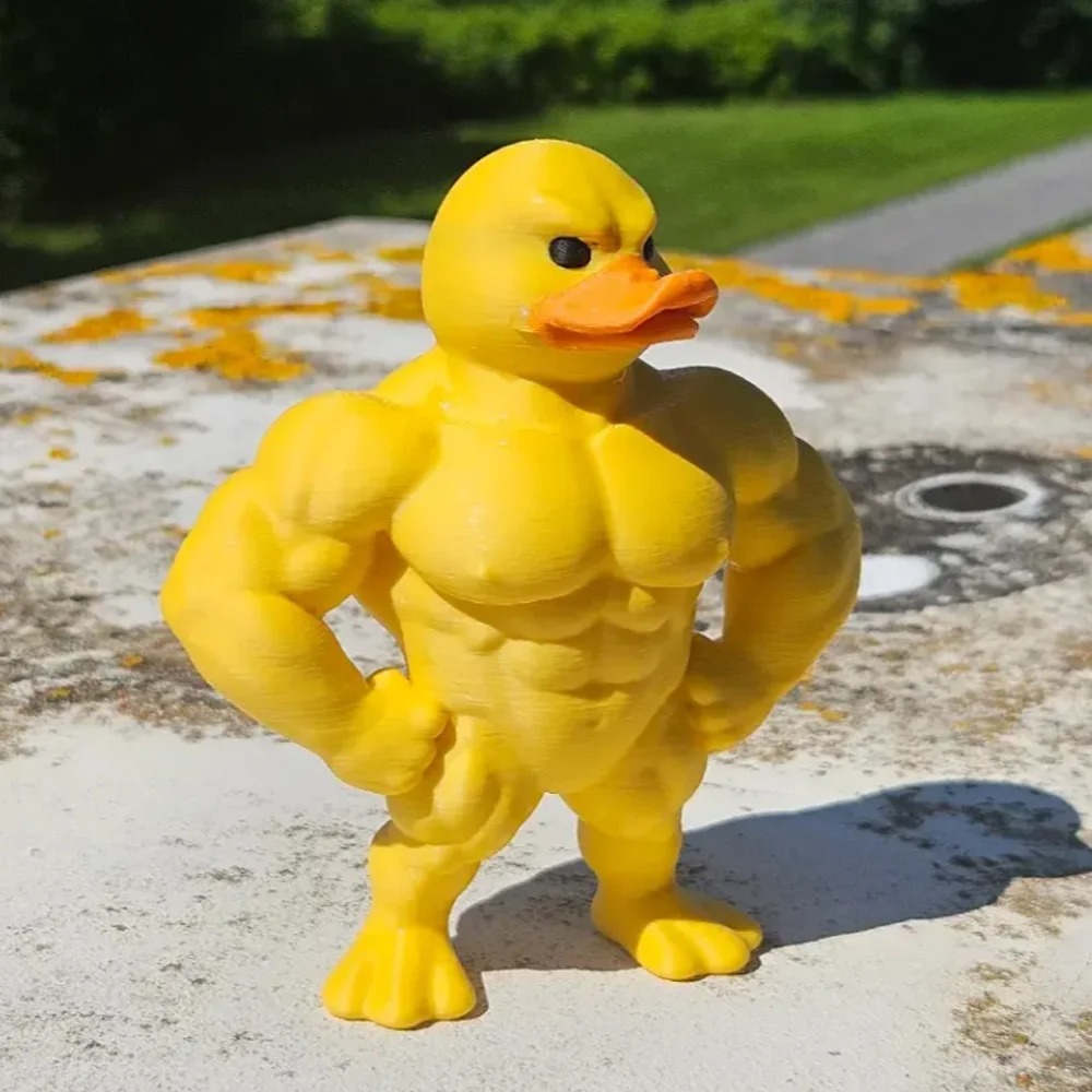 Muskel-Enten-Statue – 3D-Deskt – Art Craft Duck Bewertung und Preis