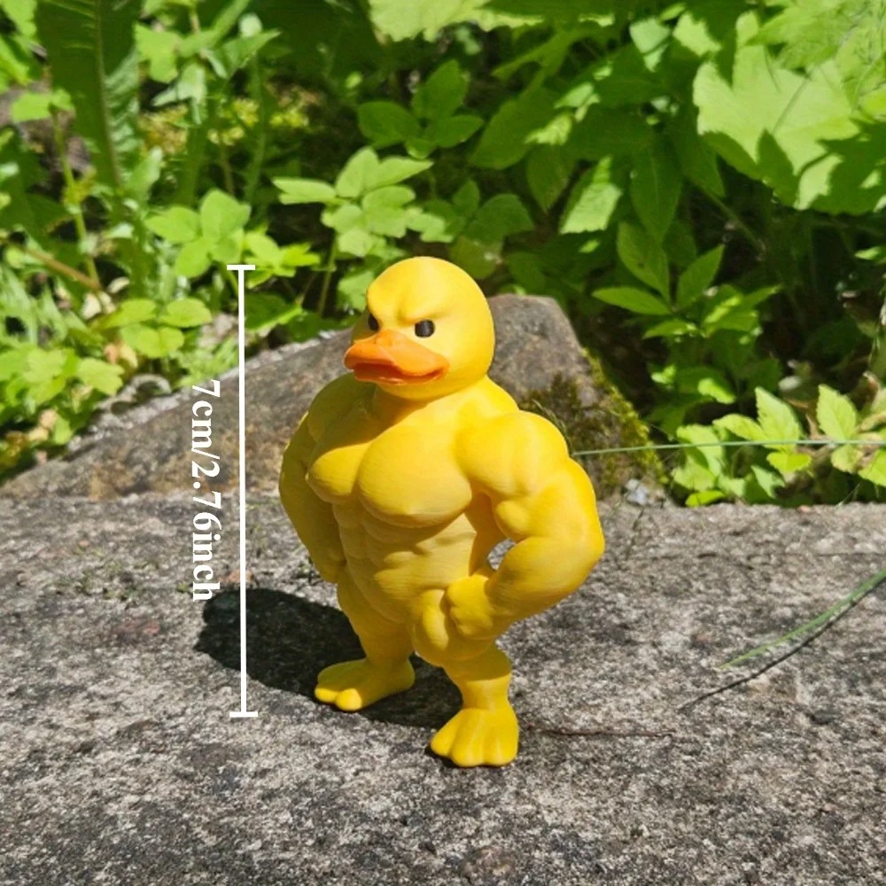 Muskel-Enten-Statue – 3D-Deskt – Art Craft Duck Bewertung und Preis
